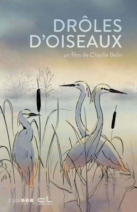 Drôles d'oiseaux - 30" - réal Charlie Belin - 2021